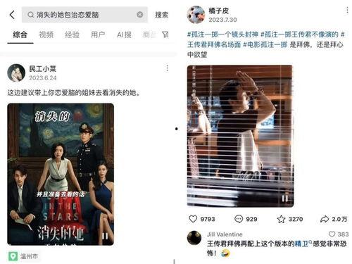 在线视频观看国产,在线视频观看背后的国产力量